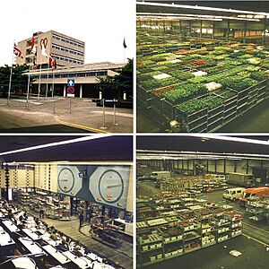 Aalsmeer Flower Auction