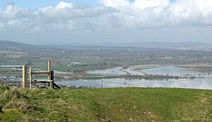 Amberley Wild Brooks - geograph.org.uk - 361203