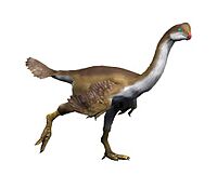 Apatoraptor NT small.jpg