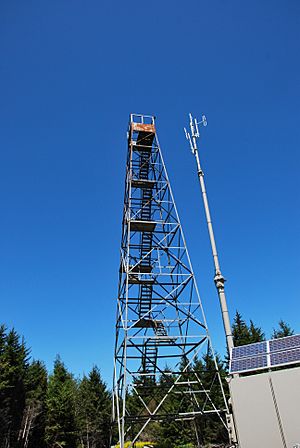 Barton Knob Fire Tower and Repeater