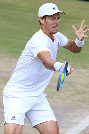 Berdych WM17 (49) (35347495174)