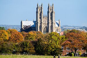 Beverley Minster IMG 7786 - panoramio.jpg