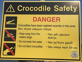 Bilingual english yolŋu crocodile warning sign