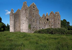 Castles of Munster, Burncourt, Tipperary - geograph.org.uk - 1393343