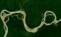 Central Amazon River