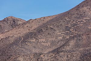 Cerros Pintados, Pampa del Tamarugal, Chile, 2016-02-11, DD 121.jpg