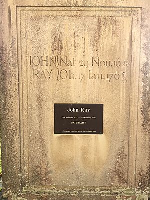 Close-up of John Ray memorial