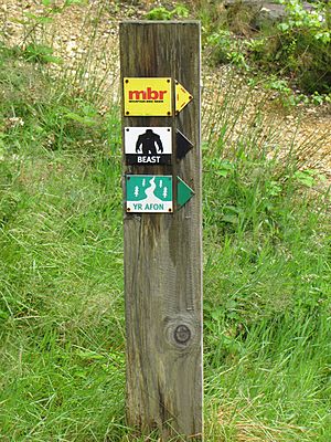 Coed-y-brenin-mt-trail-marker-01s