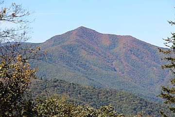 Cold Mountain from Mount Pisgah Overlook, Oct 2016.jpg