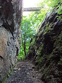 Devil's Gorge, near Loggerheads - DSC06396