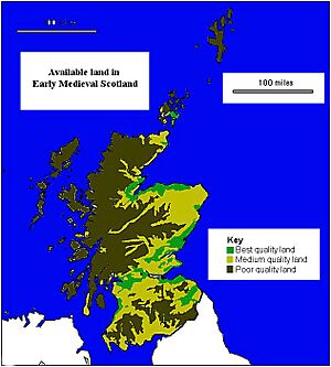 Early Medieval Economy