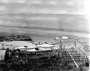 Eskimo bidarkas (skin covered boats)on the beach at Egegik, Alaska, ca 1917 (COBB 128)