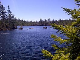 Eunice Lake Nova Scotia, May 6 2020.jpg