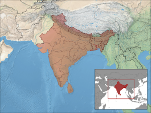 Eutropis carinata distribution.png