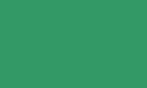 Flag of Candelaria, El Salvador