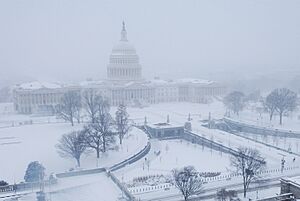 Flickr - USCapitol - February 2010 Blizzard
