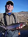 Fly caught rainbow trout Madison River YNP