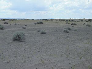 Fossil Lake landscape, Lake County, Oregon