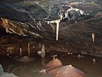 Gough's Cave, Cheddar Gorge