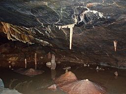 Dark brown cave interior with water. A white vertically hanging stalagmite shown above a brown mound on the cave floor.