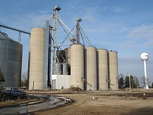 Grain elevator and water tower in Meadows, IL.jpg