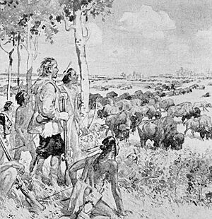 Henry Kelsey sees the buffalo on the western plains