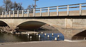 Henry State Aid bridges S bridge span from SW