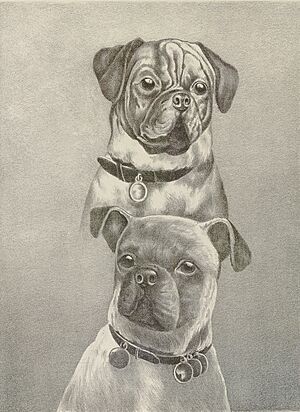 Illustrirtes Muster Hunde-Buch, page 59 (cropped)