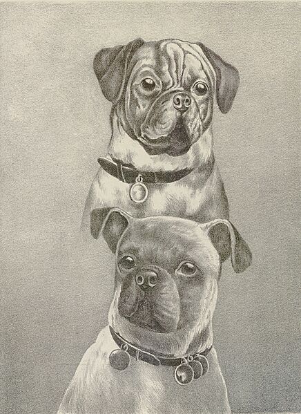 Illustrirtes Muster Hunde-Buch, page 59 (cropped)