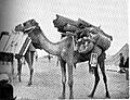 Imperial Camel Corps brigade headquarters