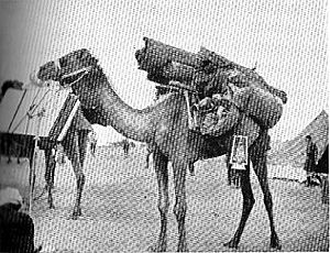 Imperial Camel Corps brigade headquarters
