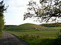 Jellhaugen grave mound, Halden