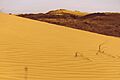 Kherson Desert