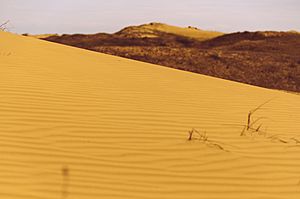 Kherson Desert