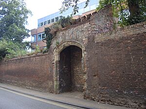 KingsLynnAustinFriars