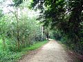 Kukkarahally lake jog path Mysore