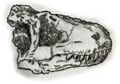 Lukousaurus yini