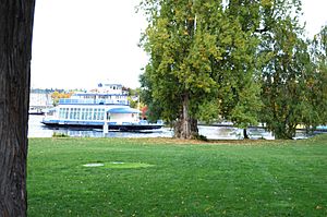 MV Kirkland 01
