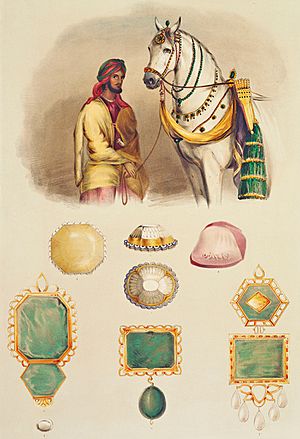 Maharaja Ranjit singh's treasure
