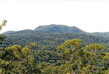 Mount BandaBanda2001-March-23.jpg