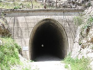 Muntapa Tunnel close up.jpg