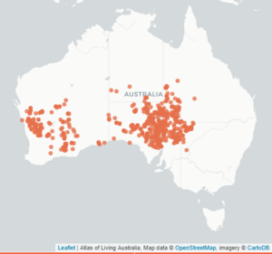 Occurrence record map (905)