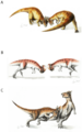 Pachycephalosauridae head butting