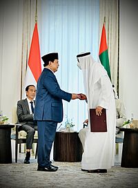 Prabowo bertemu Menhan UAE disaksikan Presiden Jokowi
