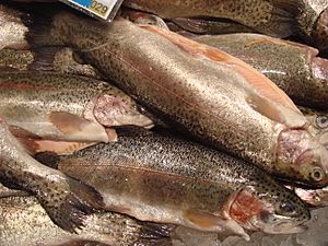 Rainbow-trout-in-market