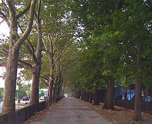 Riverside Park walkway