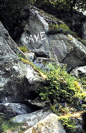 Rob Roy's Cave, eastern shore of Loch Lomond - geograph.org.uk - 1036838