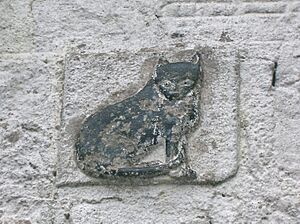 Roughwood Farm - Cat or Fox