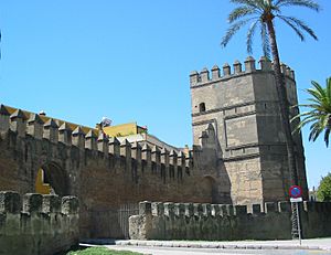 Seville Old City Wall