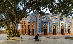 Shrine of Jalaluddin Bukhari - exterior of mosque